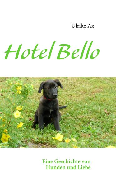 Produktbild: Hotel Bello