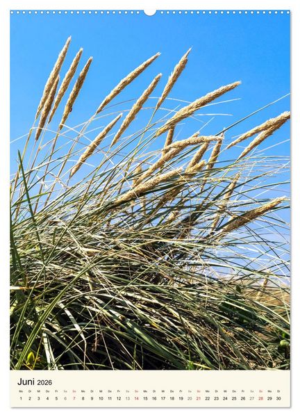 Produktbild: LANGEOOG Strandspaziergang (hochwertiger Premium Wandkalender 2026 DIN A2 hoch), Kunstdruck in Hochglanz