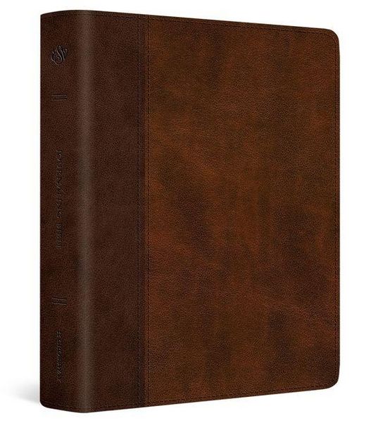 Produktbild: ESV Journaling Bible