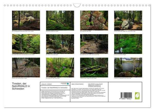 Produktbild: Tiveden, der NatURWALD in Schweden (Wandkalender 2026 DIN A3 quer), CALVENDO Monatskalender