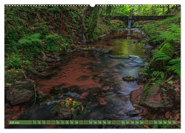 Produktbild: Augenschmaus Pf&auml;lzer Wald (Wandkalender 2026 DIN A2 quer), CALVENDO Monatskalender