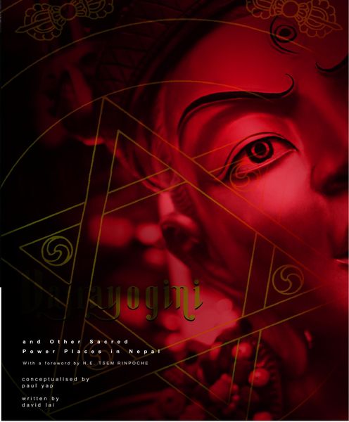 Produktbild: Vajrayogini and Other Sacred Power Places in Nepal
