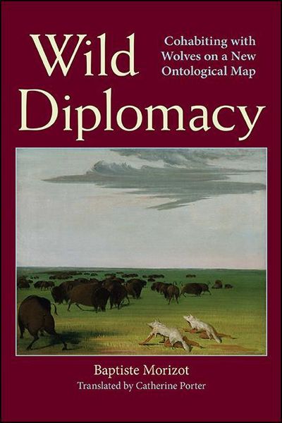 Produktbild: Wild Diplomacy