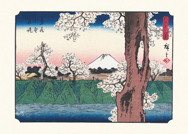 Produktbild: Hiroshige: Thirty-six Views of Mount Fuji