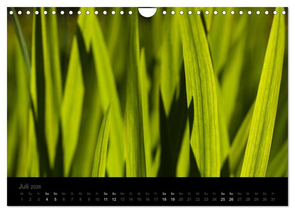 Produktbild: Natur im Detail (Wandkalender 2026 DIN A4 quer), CALVENDO Monatskalender