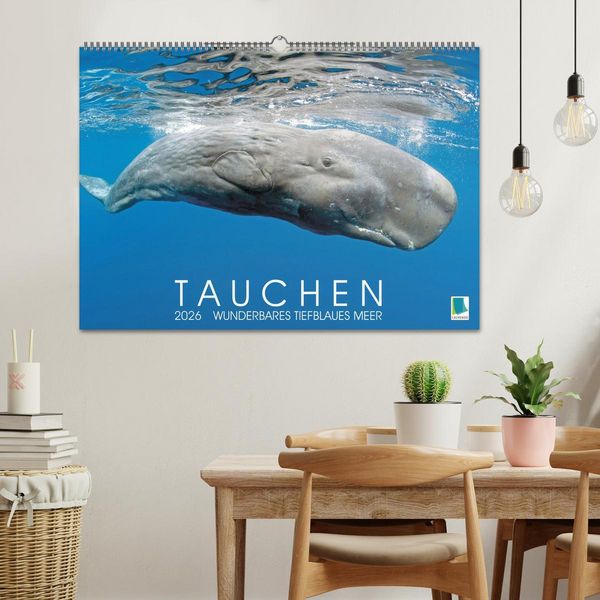 Produktbild: Tauchen: Wunderbares tiefblaues Meer (Wandkalender 2026 DIN A2 quer), CALVENDO Monatskalender
