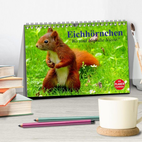 Produktbild: Eichh&ouml;rnchen. Wo sind blo&szlig; die N&uuml;sse? (Tischkalender 2026 DIN A5 quer), CALVENDO Monatskalender