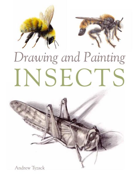 Produktbild: Drawing and Painting Insects