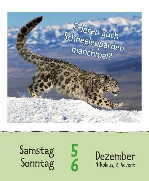 Produktbild: Wie faul ist das Faultier? 2026