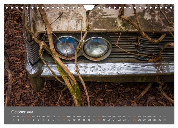 Produktbild: Rustography (Wall Calendar 2026 DIN A4 landscape), CALVENDO 12 Month Wall Calendar