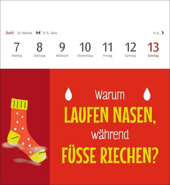 Produktbild: Der fette Vogel bricht den Ast Postkartenkalender 2027 - Wochenkalender - 53 Karten mit frechen Spr&uuml;chen