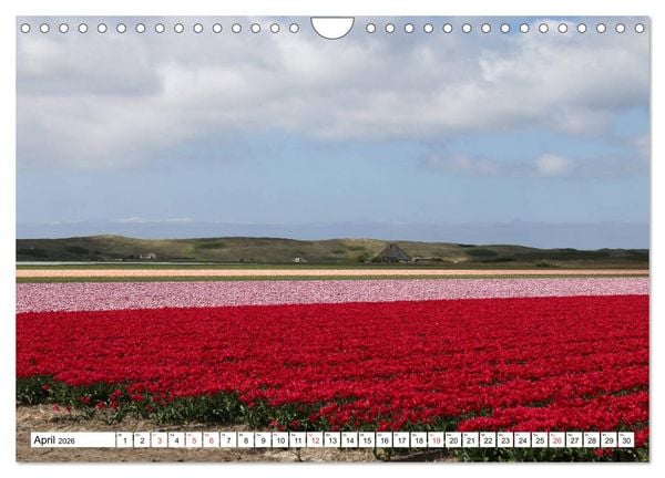 Produktbild: Callantsoog (Wandkalender 2026 DIN A4 quer), CALVENDO Monatskalender