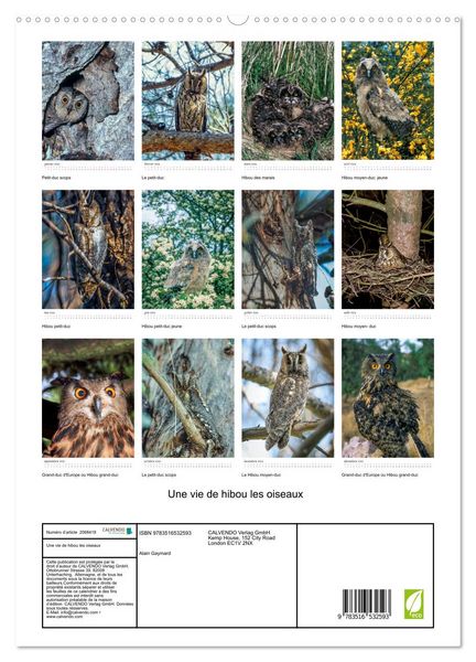 Produktbild: Une vie de hibou les oiseaux (Calendrier mural 2026 DIN A2 horizontal) calendrier de bureau