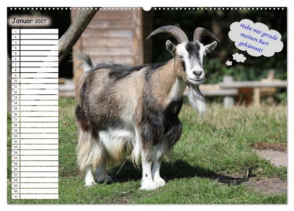 Produktbild: Wenn Tiere Sprechen k&ouml;nnten! Der lustige Spr&uuml;che Geburtstagskalender (Wandkalender 2027 DIN A2 quer), CALVENDO Monatskalender