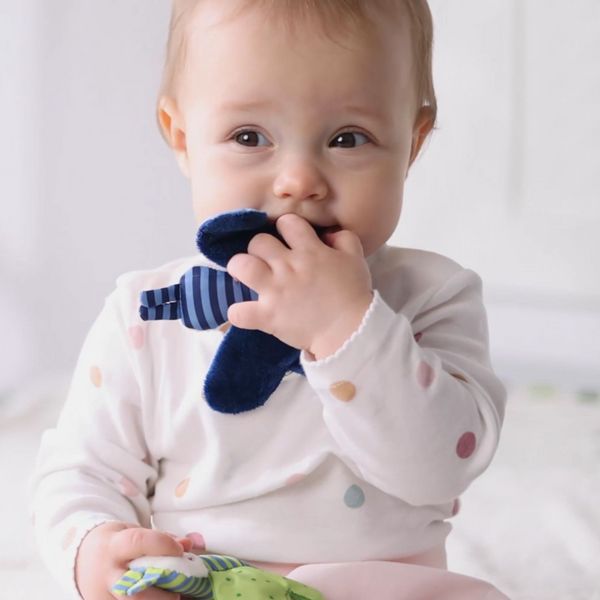 Produktbild: sigikid 41179 - Greifling Schmetterling gr&uuml;n Kinderbunt