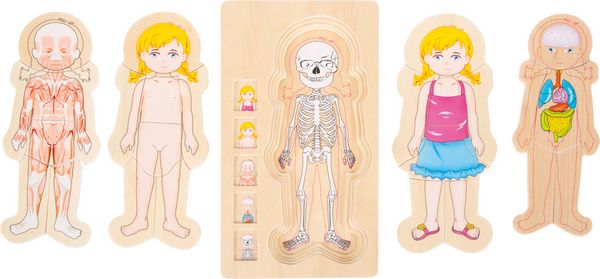 Produktbild: Schichtenpuzzle Anatomie M&auml;dchen