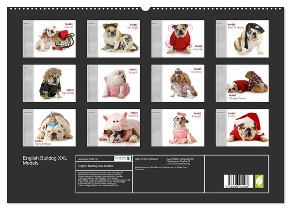 Produktbild: English Bulldog XXL Models (hochwertiger Premium Wandkalender 2026 DIN A2 quer), Kunstdruck in Hochglanz