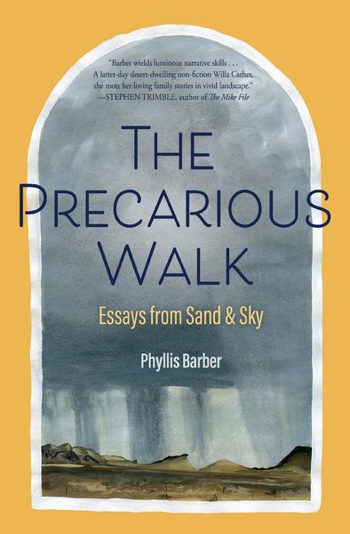 Produktbild: The Precarious Walk