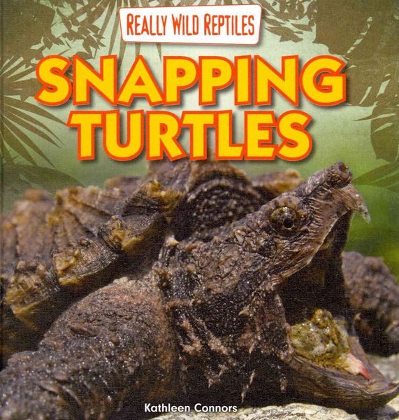 Produktbild: Snapping Turtles
