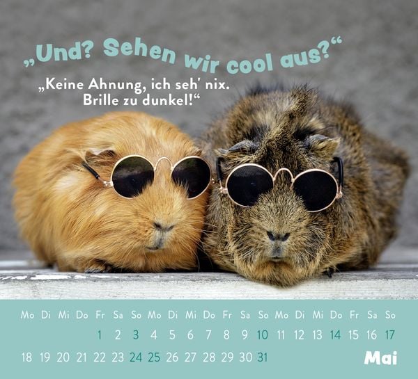 Produktbild: Mini-Kalender 2026: Der kleine Tierisch gechillt! Kalender