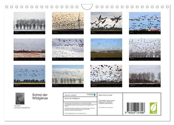 Produktbild: Schrei der Wildg&auml;nse (Wandkalender 2026 DIN A4 quer), CALVENDO Monatskalender