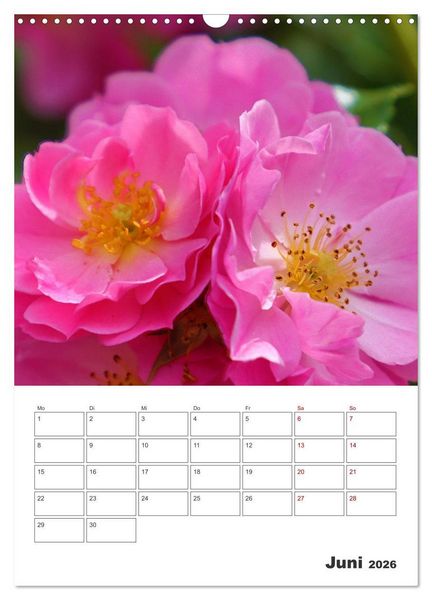 Produktbild: BL&Uuml;TENZAUBER (Wandkalender 2026 DIN A3 hoch), CALVENDO Monatskalender