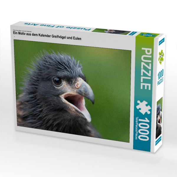 Produktbild: CALVENDO Puzzle Ein Motiv aus dem Kalender Greifv&ouml;gel und Eulen | 1000 Teile Lege-Gr&ouml;&szlig;e 64x48cm Foto-Puzzle f&uuml;r gl&uuml;ckliche Stunden