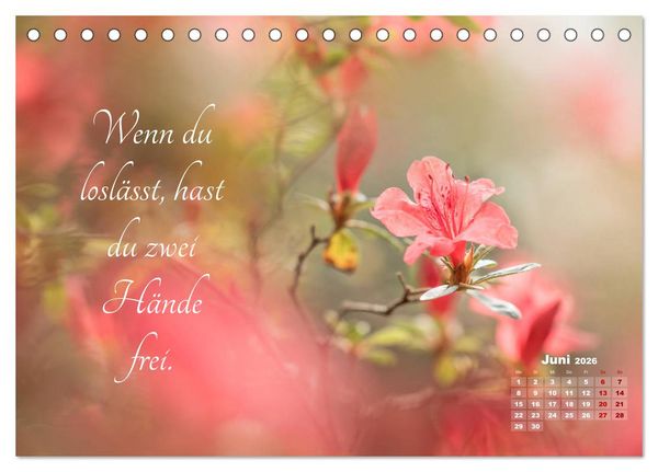 Produktbild: Chinesische Weisheiten (Tischkalender 2026 DIN A5 quer), CALVENDO Monatskalender