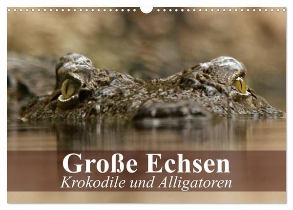 Produktbild: Gro&szlig;e Echsen. Krokodile und Alligatoren (Wandkalender 2026 DIN A3 quer), CALVENDO Monatskalender