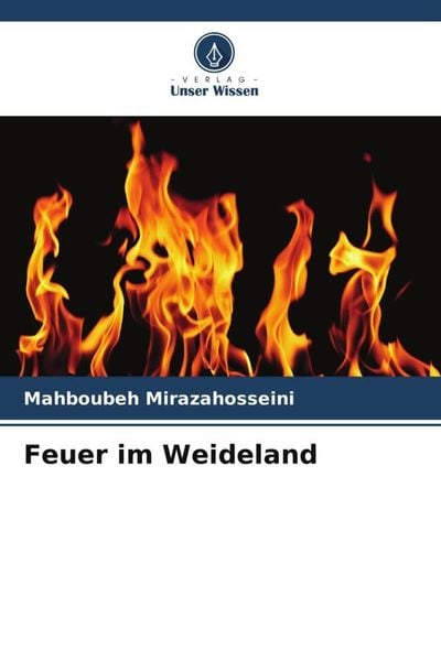 Produktbild: Feuer im Weideland