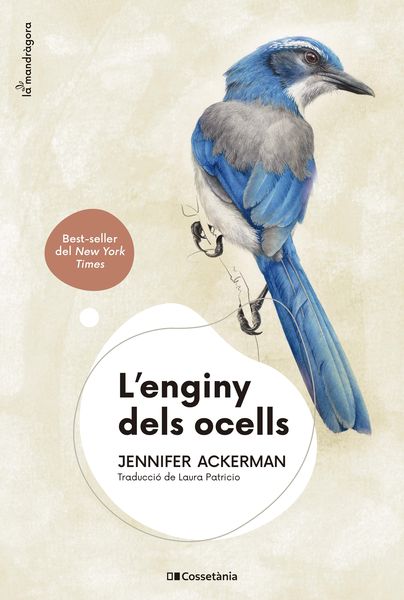Produktbild: L'enginy dels ocells