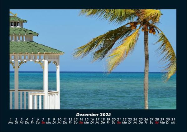 Produktbild: Palmentraum 2025 Fotokalender DIN A4
