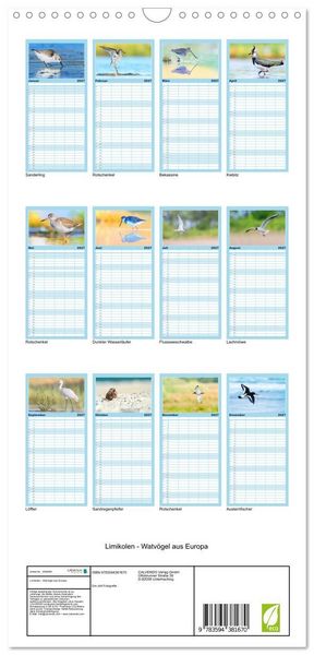 Produktbild: Familienplaner 2027 - Limikolen - Watv&ouml;gel aus Europa mit 5 Spalten (Wandkalender, 21 x 45 cm) CALVENDO