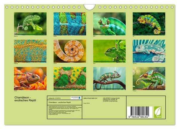 Produktbild: Cham&auml;leon - exotisches Reptil (Wandkalender 2026 DIN A4 quer), CALVENDO Monatskalender