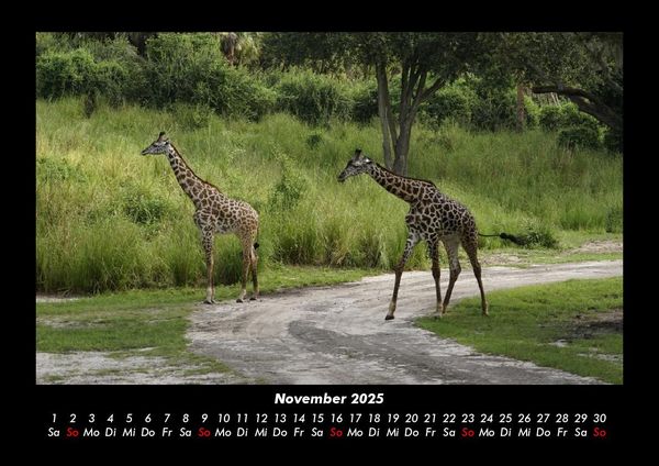Produktbild: Welt der Tiere 2025 Fotokalender DIN A3