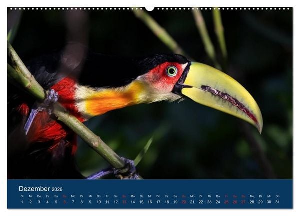Produktbild: Brasilien tierisch gut 2026 (hochwertiger Premium Wandkalender 2026 DIN A2 quer), Kunstdruck in Hochglanz