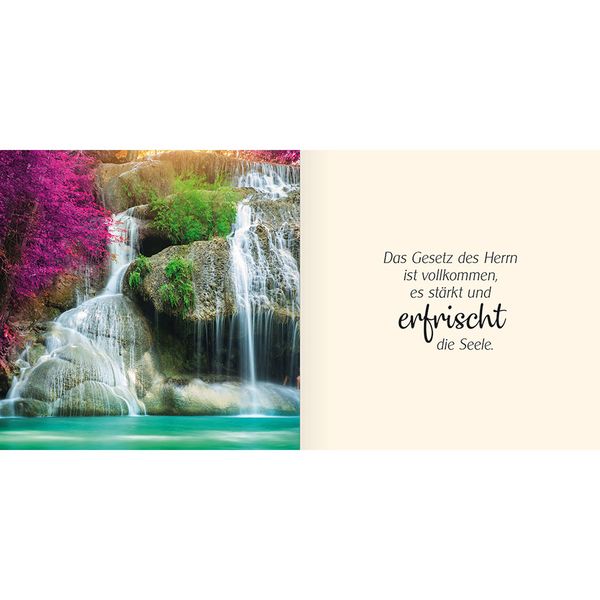 Produktbild: Ich schenke dir Psalm 19