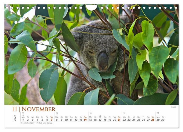 Produktbild: Australien - Cairns-Brisbane (Wandkalender 2027 DIN A4 quer), CALVENDO Monatskalender