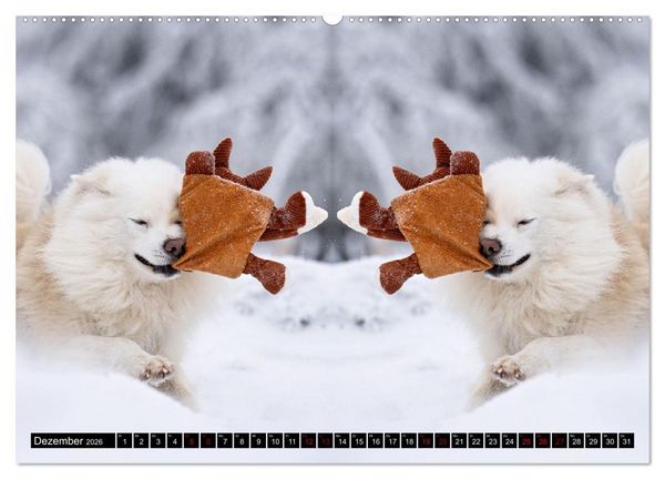 Produktbild: Mit doppelter Power durch das Jahr (Wandkalender 2026 DIN A2 quer), CALVENDO Monatskalender
