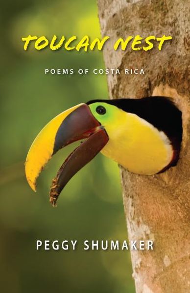Produktbild: Toucan Nest