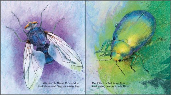 Produktbild: Mein kleines Insektenbuch