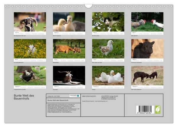 Produktbild: Bunte Welt des Bauernhofs (Wandkalender 2026 DIN A3 quer), CALVENDO Monatskalender