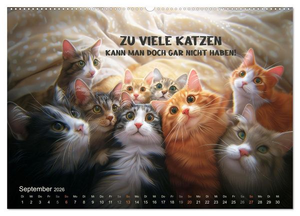Produktbild: Samtpfotenspr&uuml;che (Wandkalender 2026 DIN A2 quer), CALVENDO Monatskalender