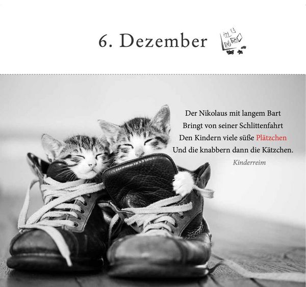 Produktbild: Der literarische Katzen-Adventskalender
