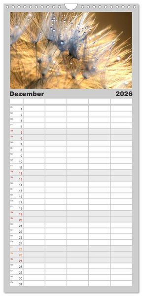 Produktbild: Familienplaner 2026 - Naturjuwel Pusteblume mit 5 Spalten (Wandkalender, 21 x 45 cm) CALVENDO