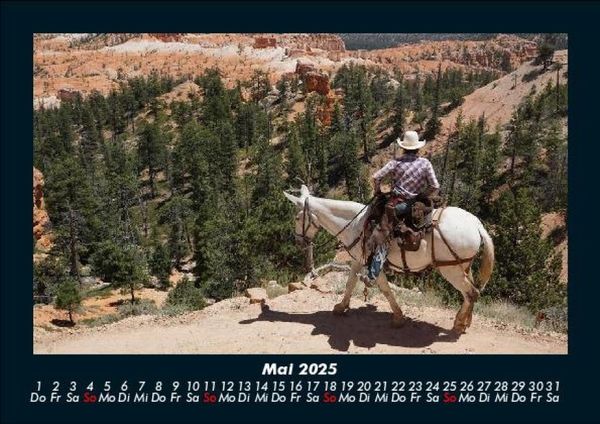 Produktbild: Pferdegefl&uuml;ster 2025 Fotokalender DIN A5