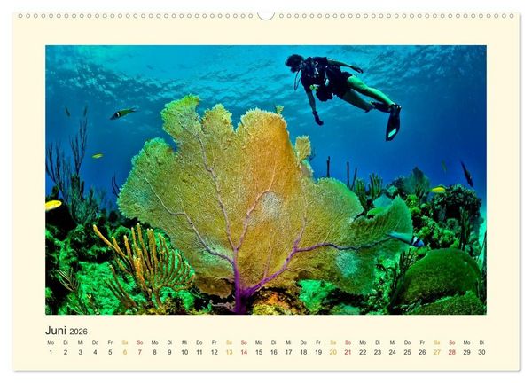 Produktbild: Malediven - mein Traum (hochwertiger Premium Wandkalender 2026 DIN A2 quer), Kunstdruck in Hochglanz