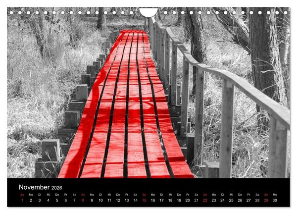 Produktbild: Blickfang in Rot (Wandkalender 2026 DIN A4 quer), CALVENDO Monatskalender