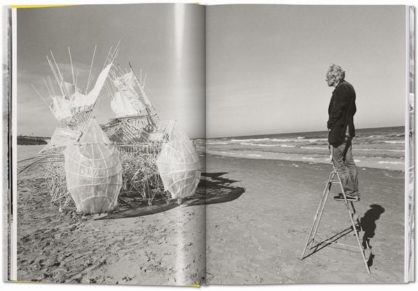 Produktbild: Strandbeest