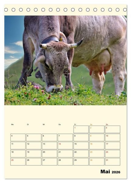 Produktbild: Gl&uuml;ckliche Bergk&uuml;he (Tischkalender 2026 DIN A5 hoch), CALVENDO Monatskalender